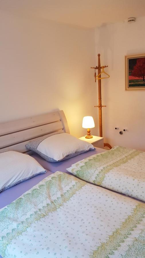Ferienwohnung Haus Edeltraud Im Suedschwarzwald, Grosse, Helle, Ruhige Souterrain-Whg, Hunde Geeignet, Mit 2 Fahrraedern, 3 Baeckereien Mit Fruehstueck, 2 Lebensmittel-, 1 Italien-Pastalaeden, Kontakt Peter Heubueschl Aus Loerrach Rheinfelden  Dış mekan fotoğraf